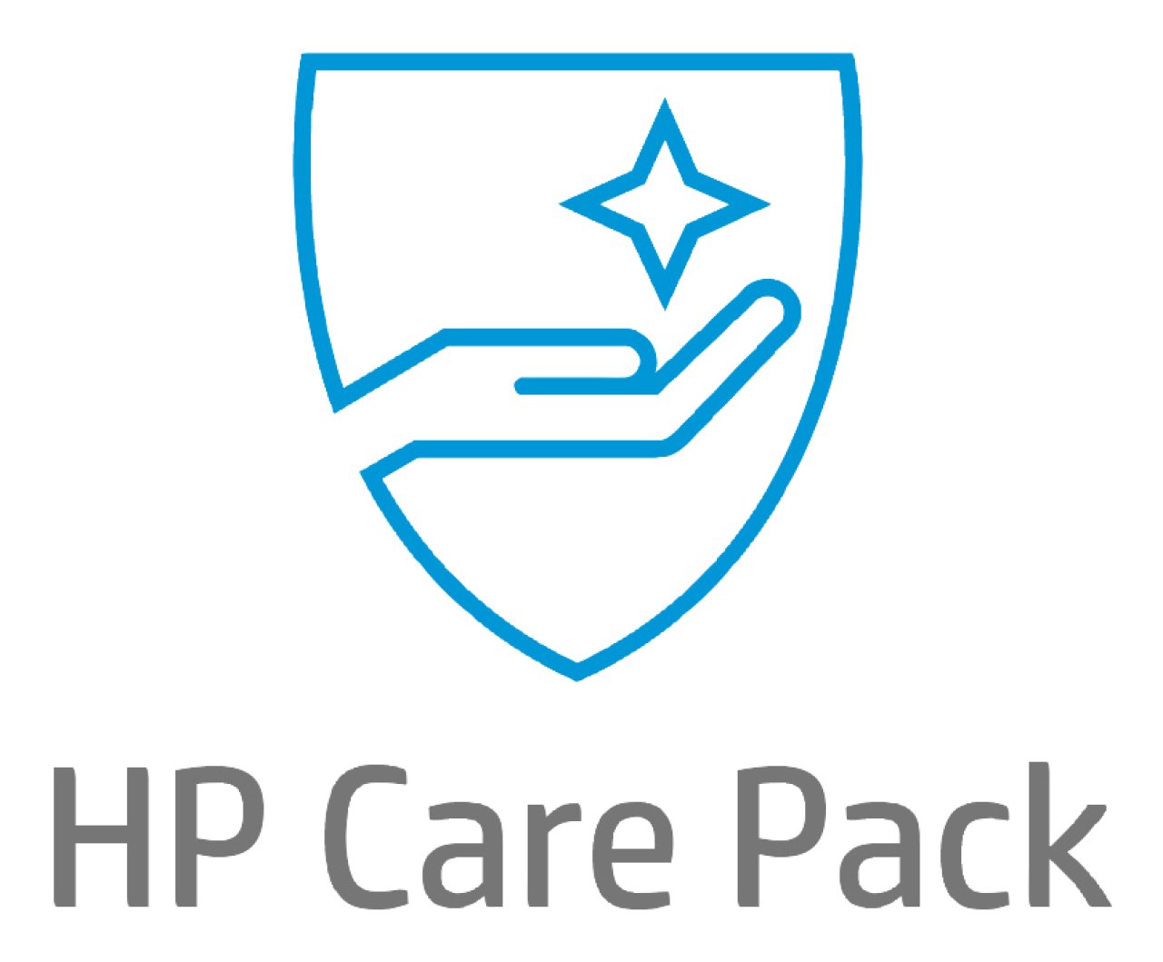 HP CarePack 4 Jahre LJ E5045 nbd,w/DMR