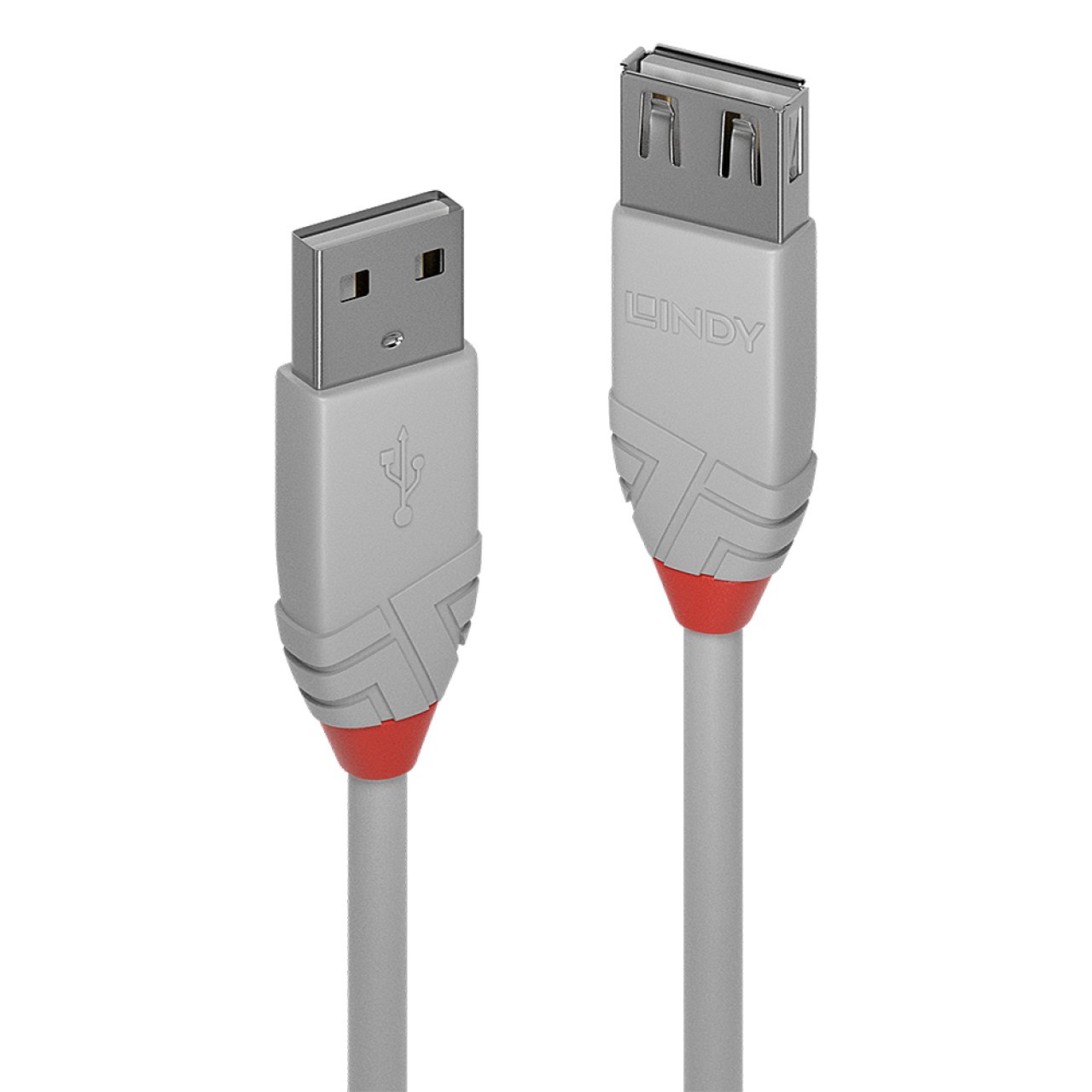 LINDY Kabel USB 2.0 Typ-A->Typ-A S/B 0.2m/hellgrau/480Mbits