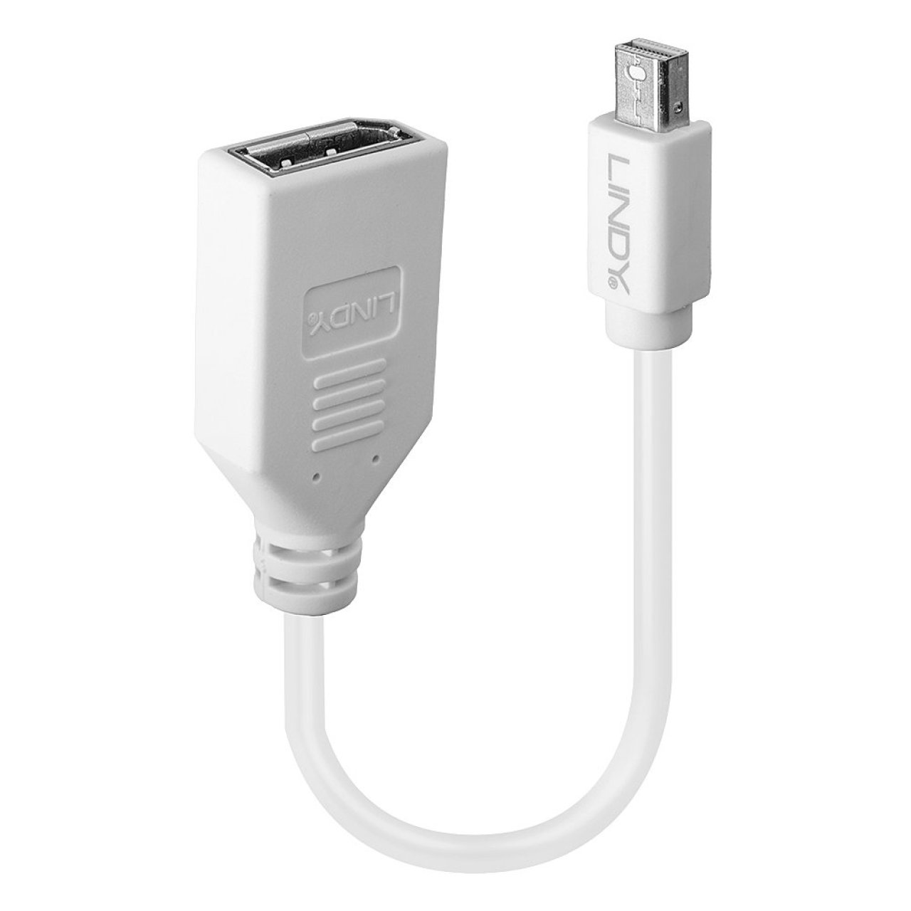 LINDY Adapterkabel Mini-DP->DP S/B 20cm